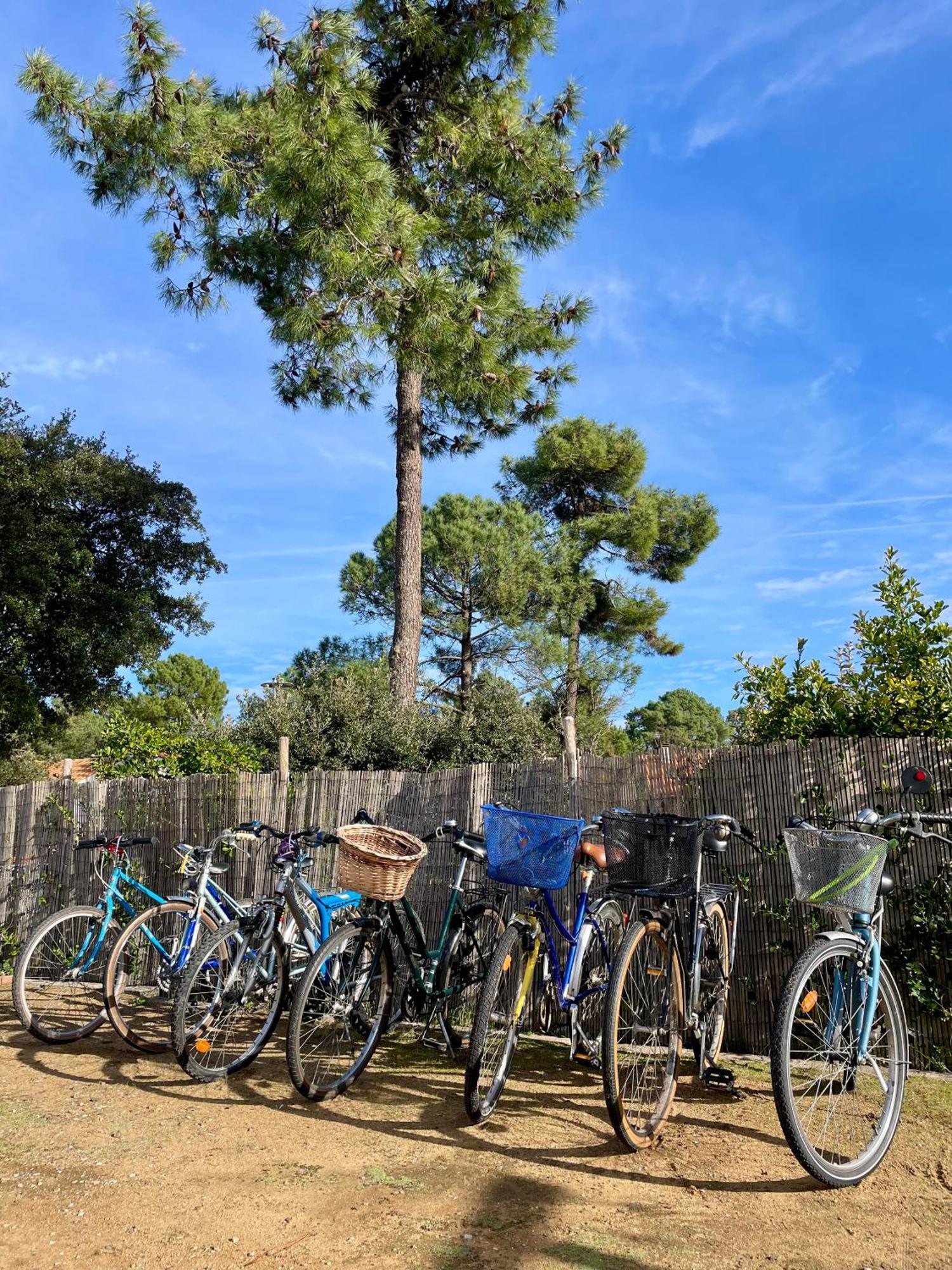 La White House, 8 Personnes/8 Velos + Free Parking La Tranche-sur-Mer Bagian luar foto
